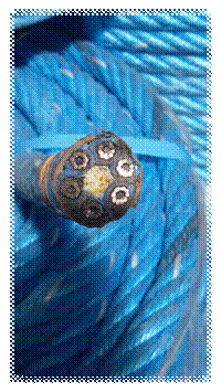 20150428_112059.jpg