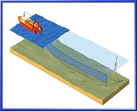 bateau