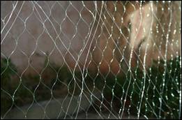 tramail nonofilament 1