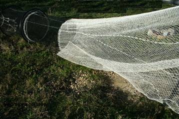 verveux a poisson 3.jpg