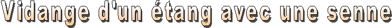 Vidange d'un tang avec une senne