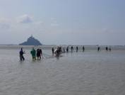 Pche senne baie St Michel  (1).jpg